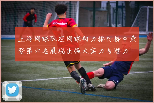 上海网球队在网球耐力排行榜中荣登第六名展现出强大实力与潜力