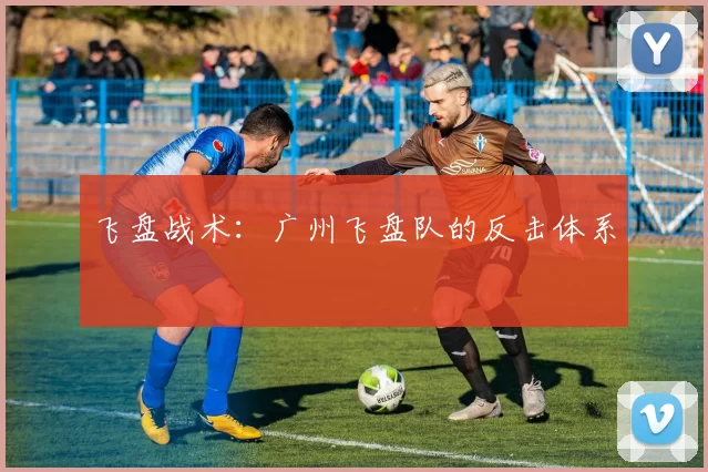飞盘战术：广州飞盘队的反击体系