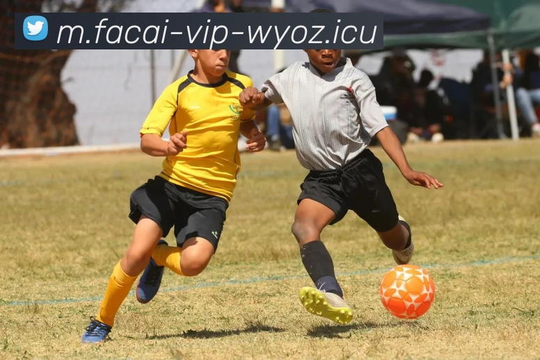 米兰体育平台生态图