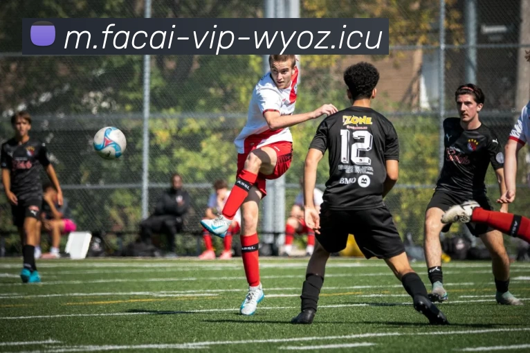 米兰体育全站App